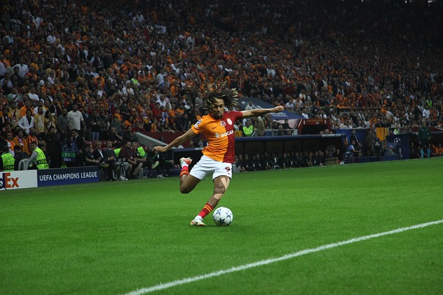 仁慕尼黑 仁慕尼黑