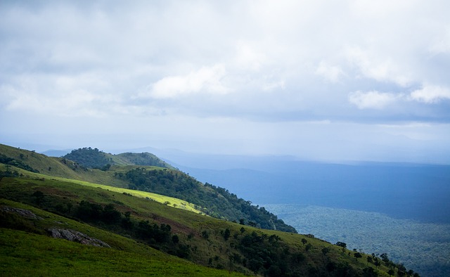 市场价值极 市场价值极
