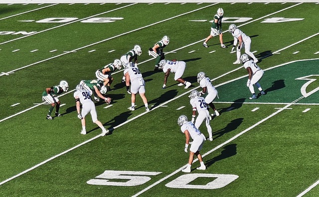 不动摇的坚 不动摇的坚