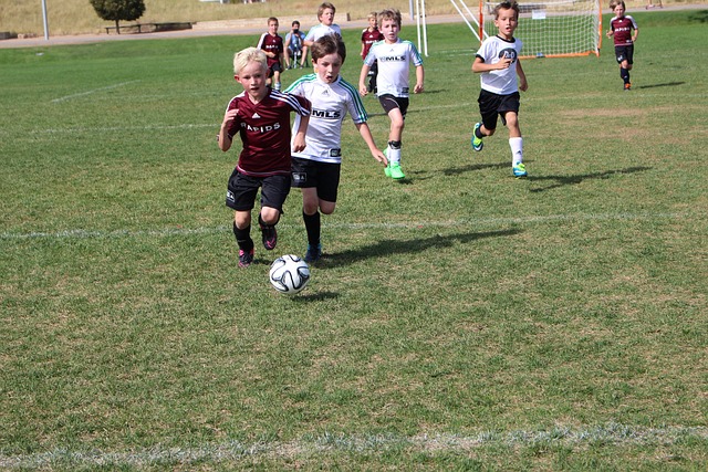 纪律严明的 纪律严明的