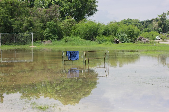 针对鹈鹕队 针对鹈鹕队