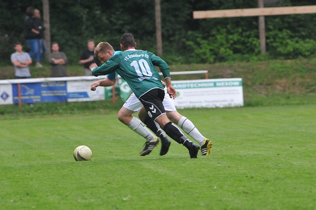 老将和年轻 老将和年轻